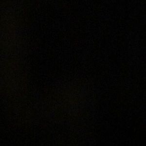 Meet your Posher, Roselyn